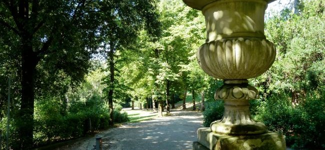 Il Boschetto a Firenze: alla scoperta del parco di Villa Strozzi