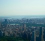 In volo su New York: tour in elicottero da Liberty Island a Central Park