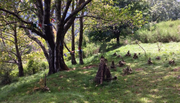 prato dell'albero con gli occhi