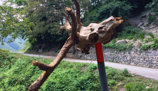 strada per case cucciani