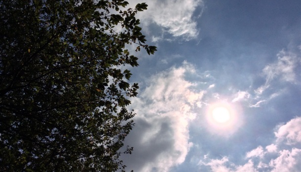 sul prato di tiziano terzani