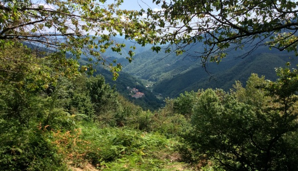 valle dell'orsigna