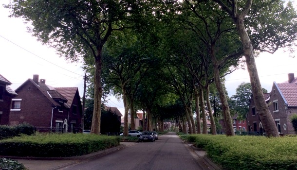 waterschei
