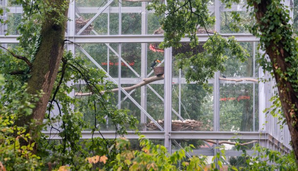 voliera parco di genk